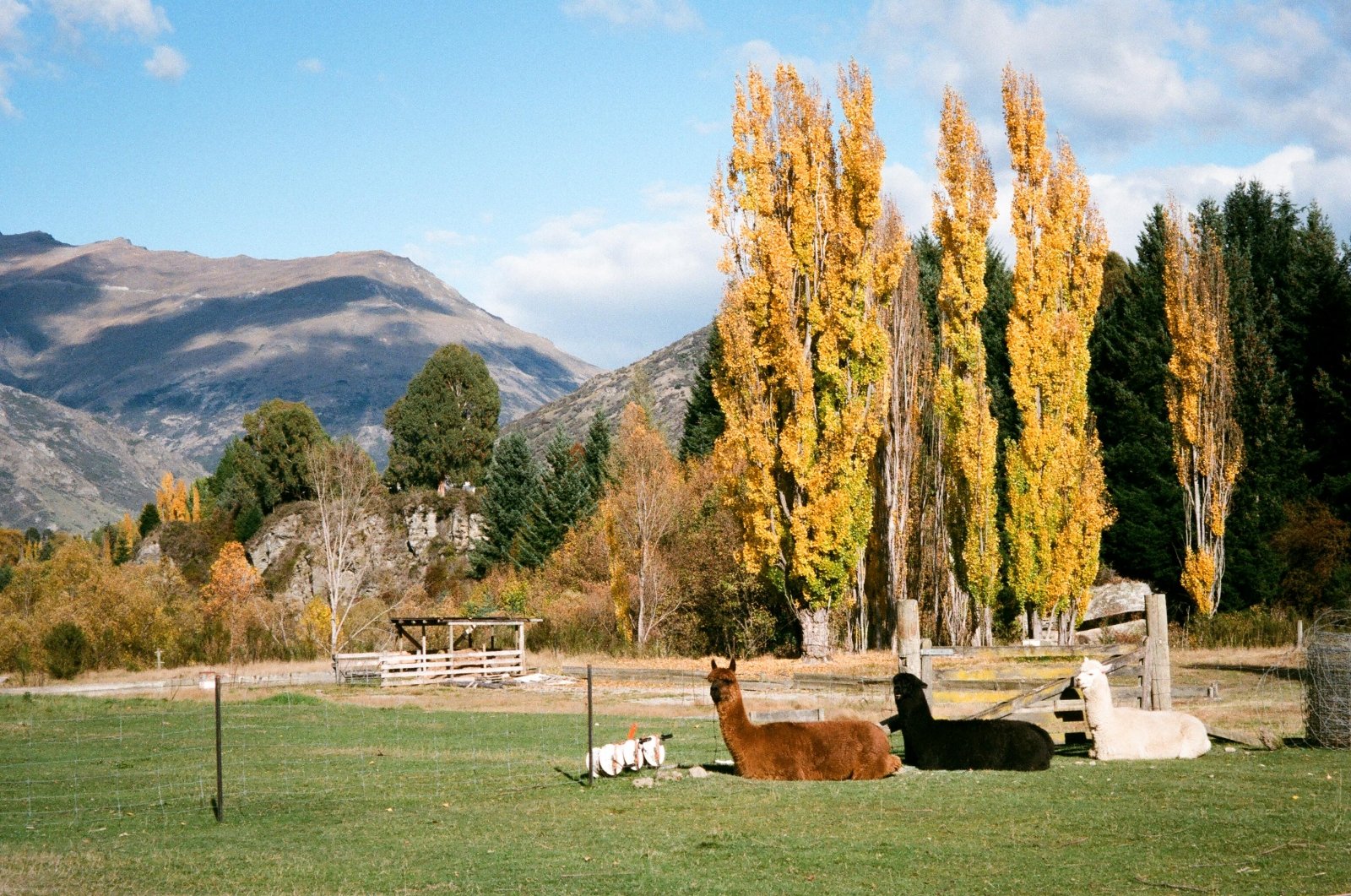 Kodak 400 Photography Kodak Portra 400 35mm Color Negative Film 36